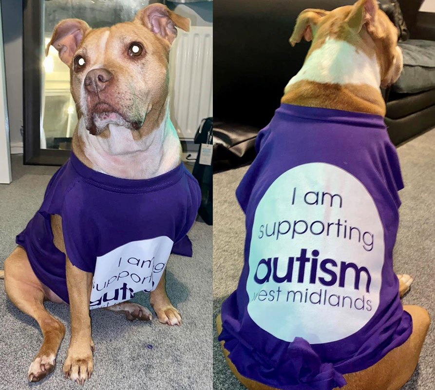 Dog with a fundraising t-shirt on